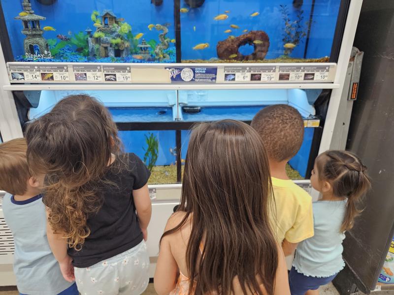 Photo of Beccas Buccaneers - Bakersfield, CA