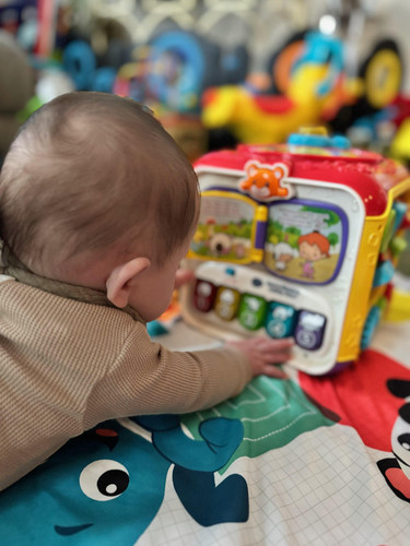 Photo of Wild & Free Childcare