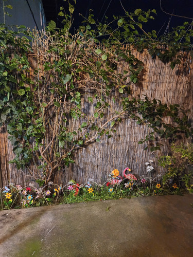 Photo of Faryadi, Razia Daycare - Sacramento, CA