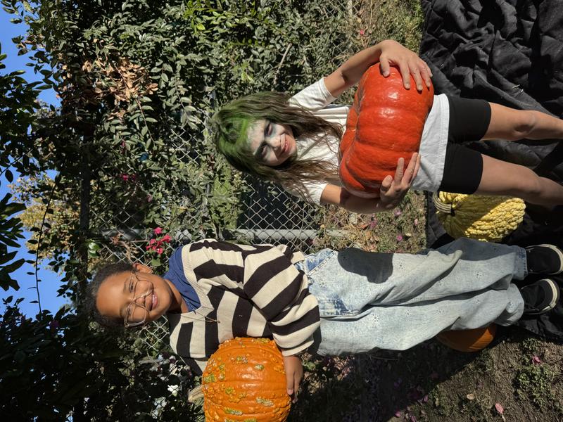 Photo of Silly Little Genius Daycare