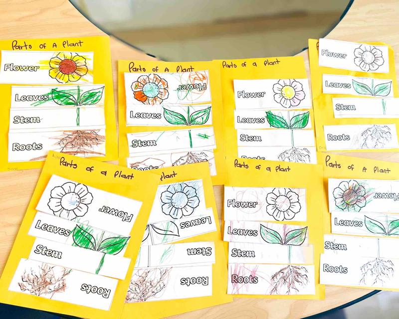 Photo of The Rising Stars Of Sunnyvale - Sunnyvale, CA