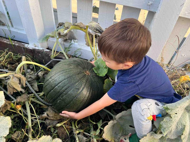 Photo of Little Rainbow Child Care - Redwood City, CA