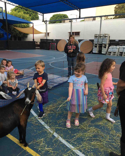 Photo of International Children's Academy - Los Angeles, CA