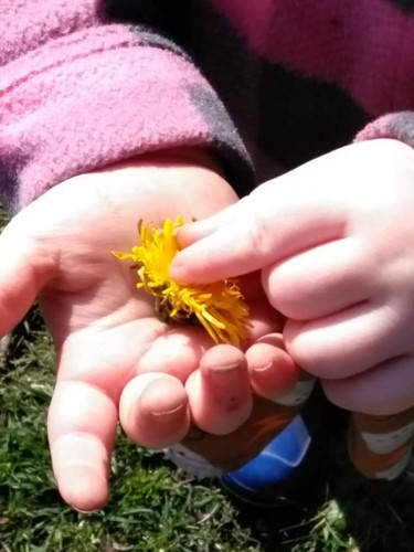 Photo of Daily Discoveries Daycare