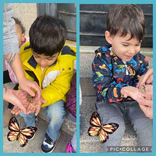 Photo of Nicole's Family Daycare - Brooklyn, NY