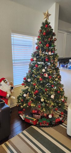 Photo of Saro' Nest Child Care LLC - Haltom City, TX