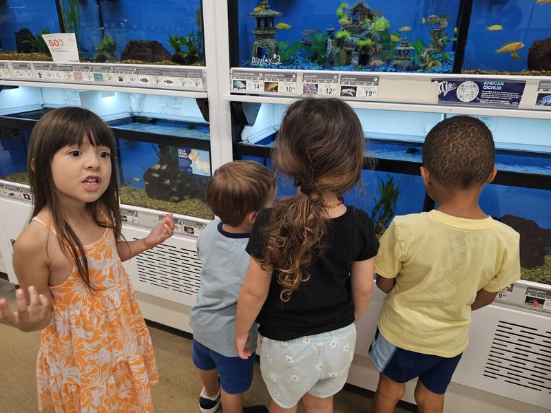 Photo of Beccas Buccaneers - Bakersfield, CA