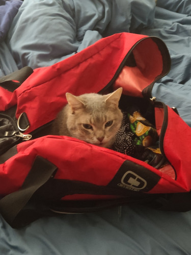 Photo of Lauren W. - North Bend, WA