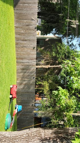 Photo of Southern Charm Learning Academy - Savannah, GA