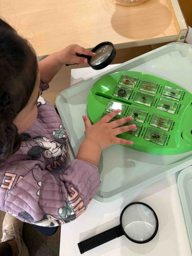 Photo of Color Tree Childcare/Preschool