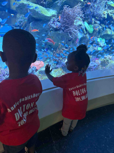 Photo of Annie Babies Daycare - Dolton, IL