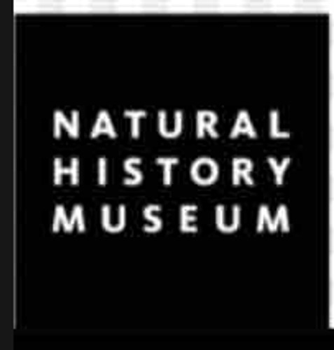 Photo of Scribbles Academy - Los Angeles, CA