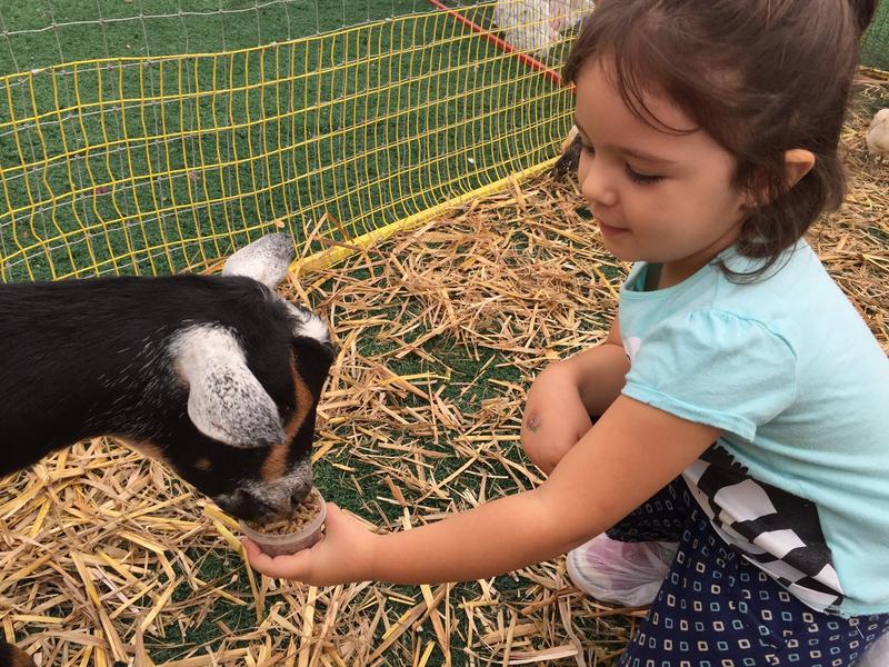 Photo of Little Ivies Montessori - Plano, TX