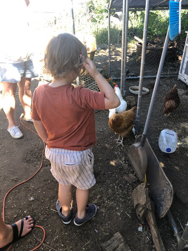 Photo of Amanda Lee S. - Vancouver, WA