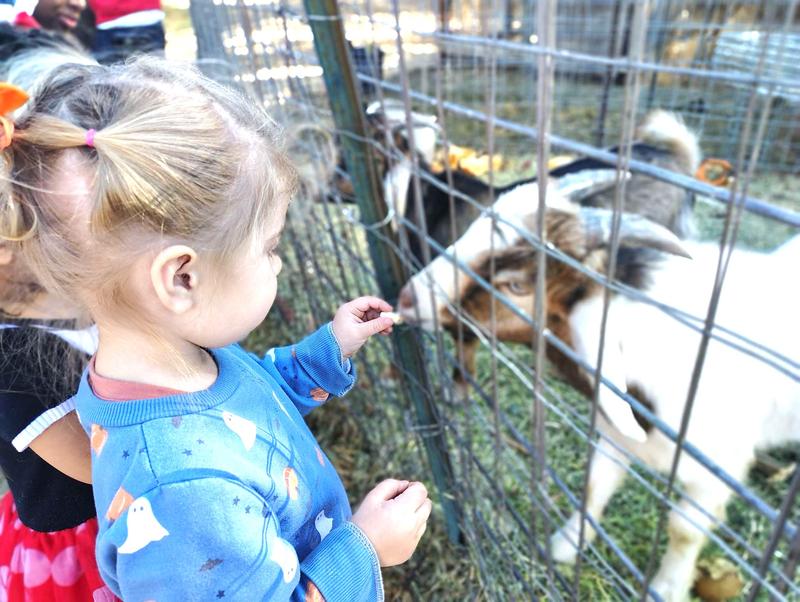 Photo of Learn Out Loud Preschool & Childcare, LLC - Orangevale, CA