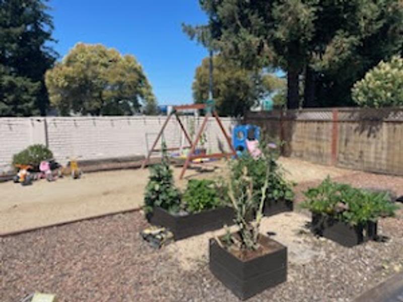 Photo of Hearts and Stars Child Care - Rohnert Park, CA