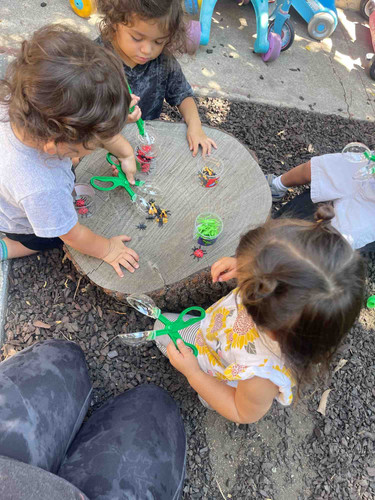 Photo of Little Sprouts Language Immersion Preschool Daycare - Los Angeles, CA