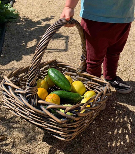 Photo of Jardin De Niños Corazon - San Diego, CA