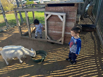 Photo of Monica's Family Child Care