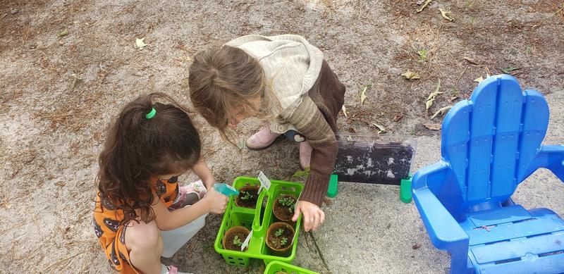 Photo of Lily's Bilingual Preschool - Richmond Hill, GA