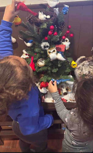 Photo of D’Rose Family Child Care - Malden, MA