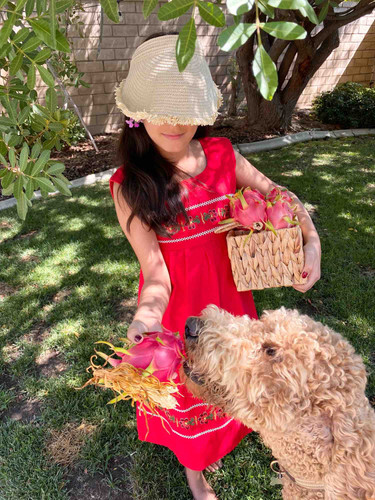 Photo of Sandyland Kids Daycare - Corona, CA