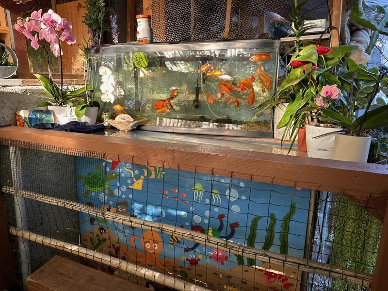 Photo of Rainforest Family Childcare - Santa Barbara, CA