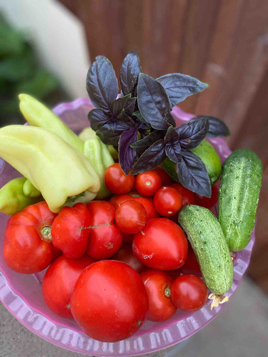 Photo of Vera Timofeyeva's Daycare - Rancho Cordova, CA