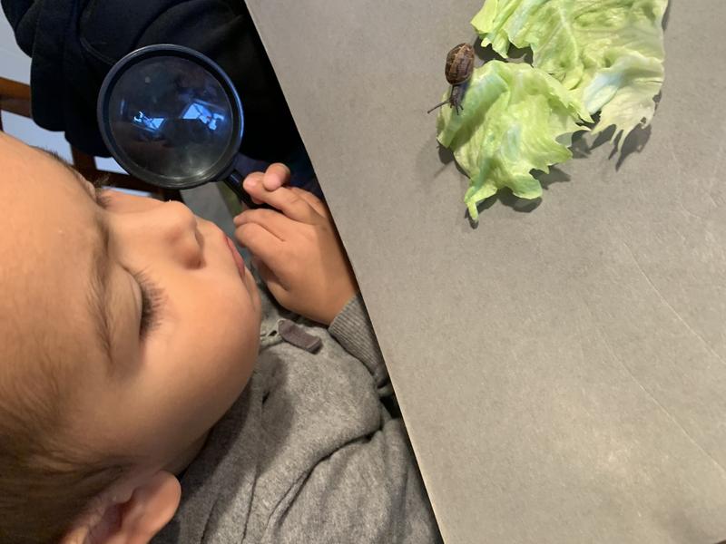 Photo of Skeyci Children Programs Daycare - Castro Valley, CA