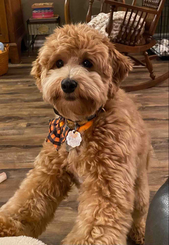 Photo of Connie's Daycare - Woodbury, MN