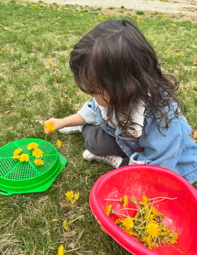 Photo of Regilene Fernandes - Uxbridge, MA