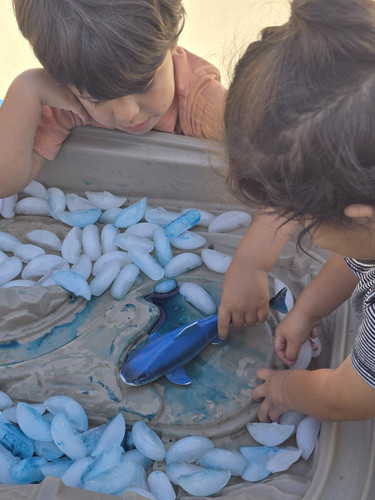 Photo of Sauceda, Maria Family Child Care - Vista, CA