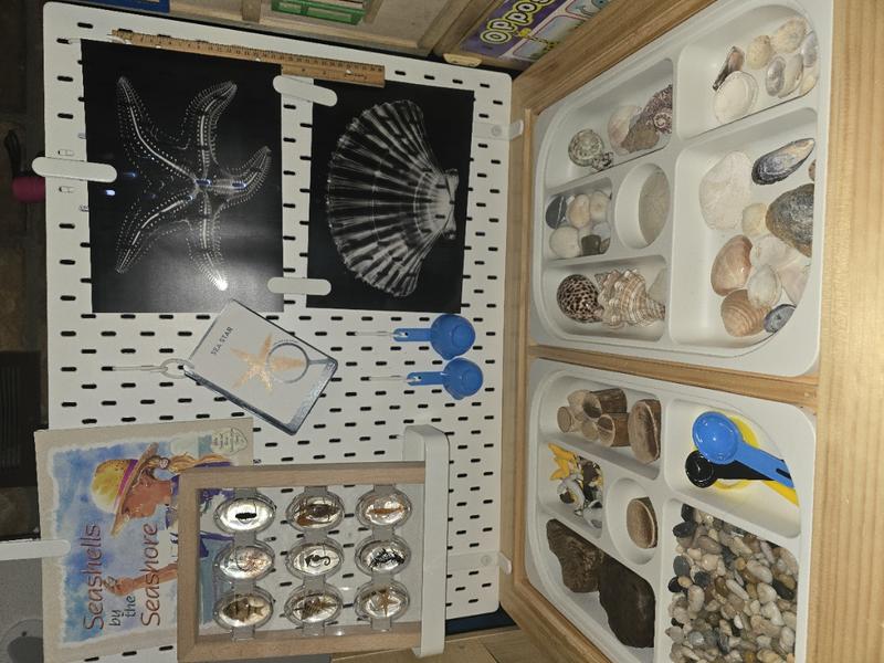 Photo of Charity's Daycare - Cottonwood, CA