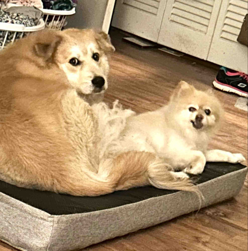 Photo of Maria P. - Pen, FL