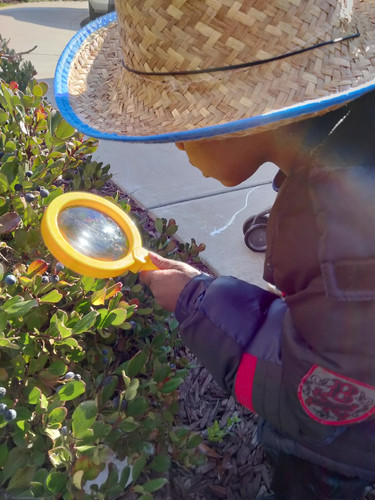Photo of Stepping Stones Preschool & After-School Care - Stockton, CA