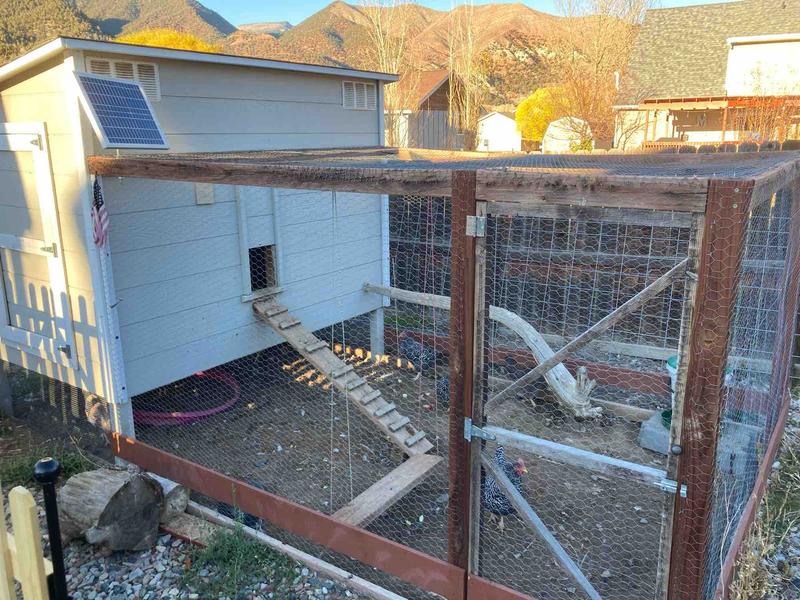 Photo of Little Pride Daycare - New Castle, CO