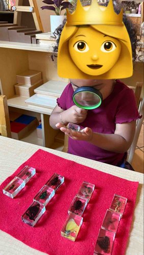 Photo of Ximena’s Family Child Care - Chula Vista, CA