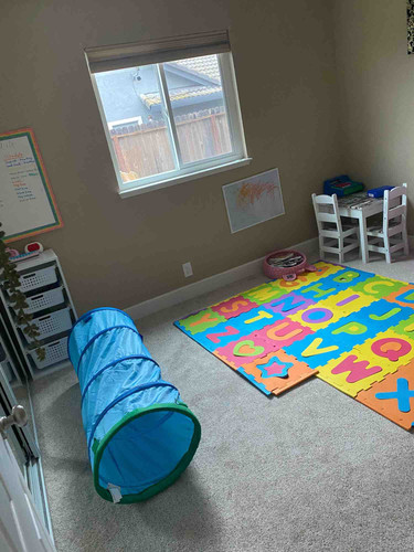 Photo of Shabana Danish - Roseville, CA