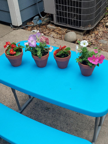 Photo of Daycare Teach And Transportation Services - Sacramento, CA