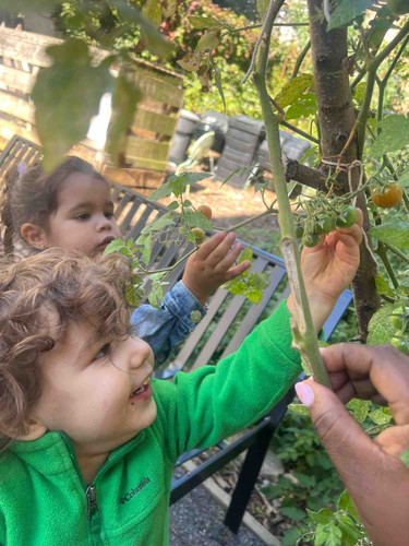 Photo of Wee Bee Kids Daycare - Brooklyn, NY