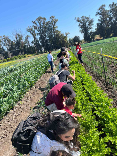 Photo of Cottrell Family Child Care Daycare - Simi Valley, CA