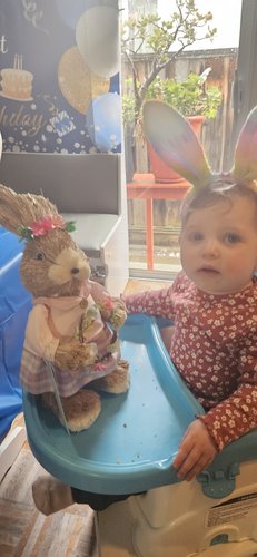 Photo of Lulu's Daycare - San Jose, CA