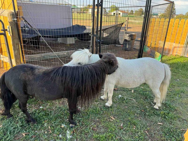 Photo of Little Wiggles Daycare - Elizabeth, CO