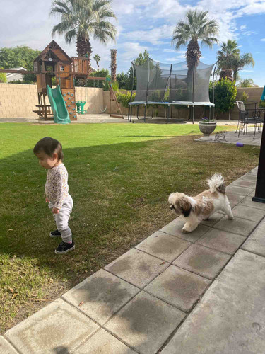 Photo of Kandies  Daycare - Cathedral City, CA