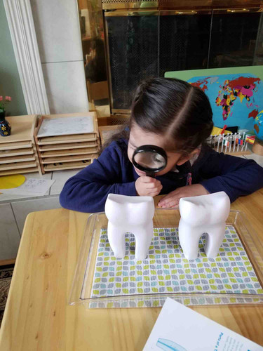 Photo of Genesis Preschool - Renton, WA