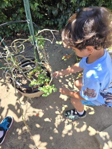 Photo of Sauceda, Maria Family Child Care - Vista, CA