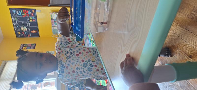 Photo of Blessed Hands Changing Lives Daycare - Queens, NY