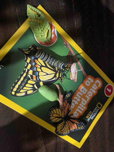 Photo of Monroe Family Daycare - Temple city, CA