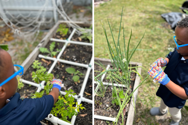 Photo of Ambassador Kids Montessori