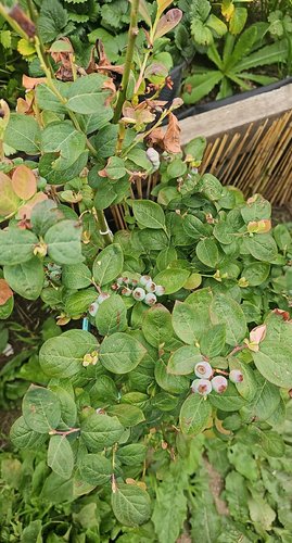 Photo of Wonder World Preschool And Daycare - Los Angeles, CA